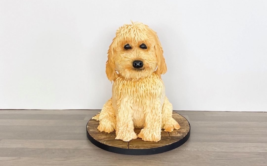 How to carve a 3D dog cake