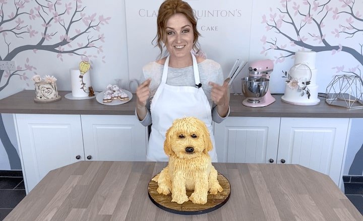 The finished carved 3d dog cake - isn't he goregeous?